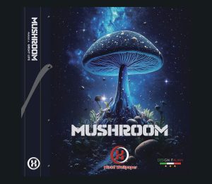 عکس جلد کاغذ دیواری ماشروم mushroom