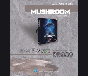پوستر کاغذ دیواری ماشروم mushroom